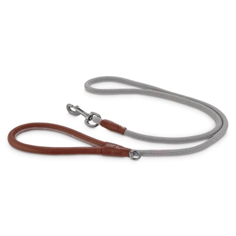 Reddy Grey Rope Dog Leash, 5 ft. | Petco
