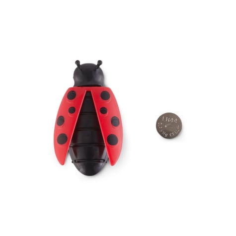 Leaps & Bounds Seek & Swat Electronic Lady Bug Cat Toy
