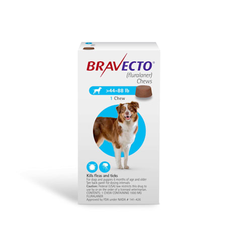 Bravecto Plus Topical Solution For Cats 2 6 6 2 Lbs 1 Treatment Green Box Chewy Com