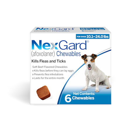 frontline for shih tzu