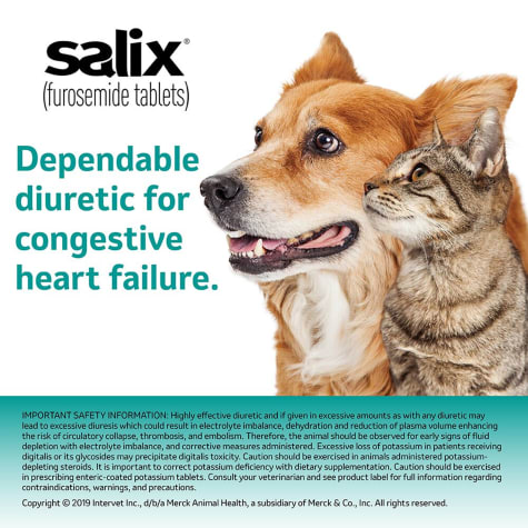 diuretic for dogs