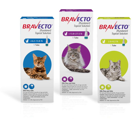 Bravecto Topical Solution For Cats 13 8 27 5 Lbs Single 12 Week Dose Petco