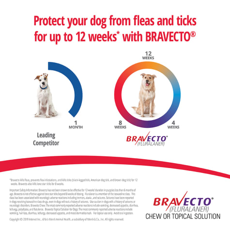Bravecto Topical Solution For Dogs 9 9 22 Lbs Single 12 Week