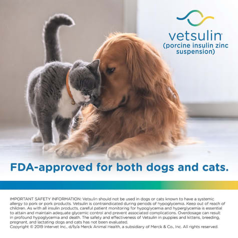 Vetsulin Insulin For Dogs Cats With Diabetes 1800petmeds
