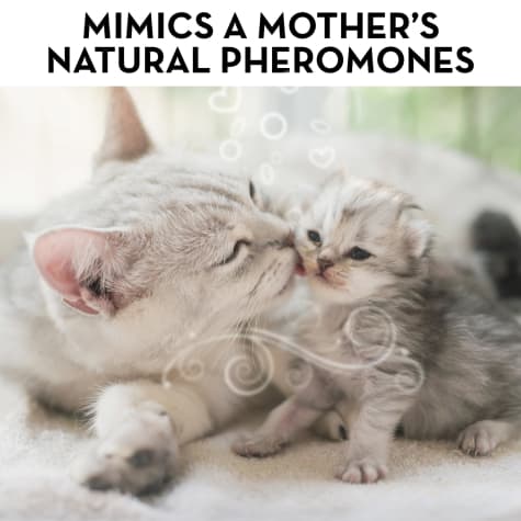 thunderease cat diffuser