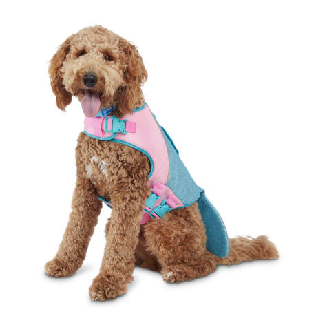 cute dog life jacket