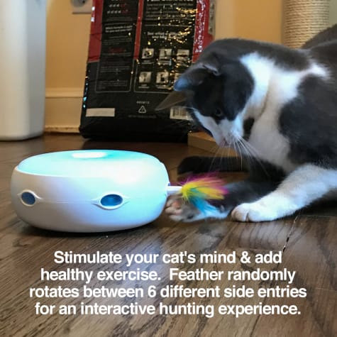 ambush interactive cat toy