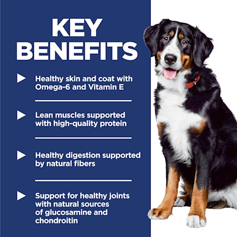 petco science diet large breed