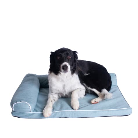 petco dog pillows