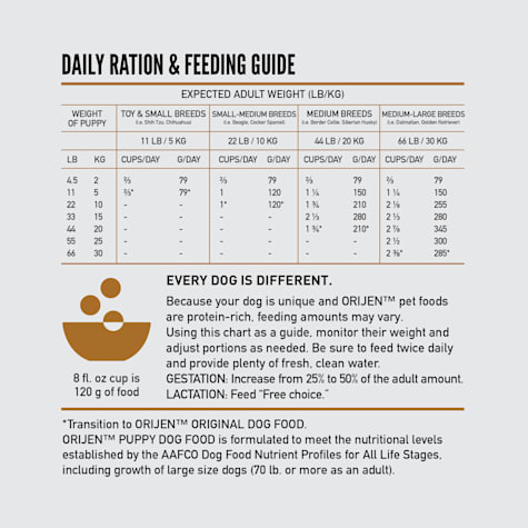 orijen puppy feeding chart