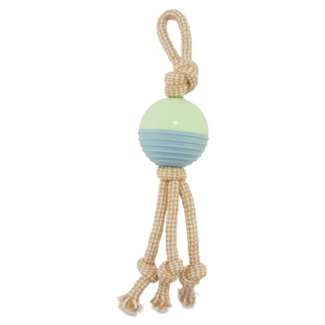 rubber ball on rope dog toy