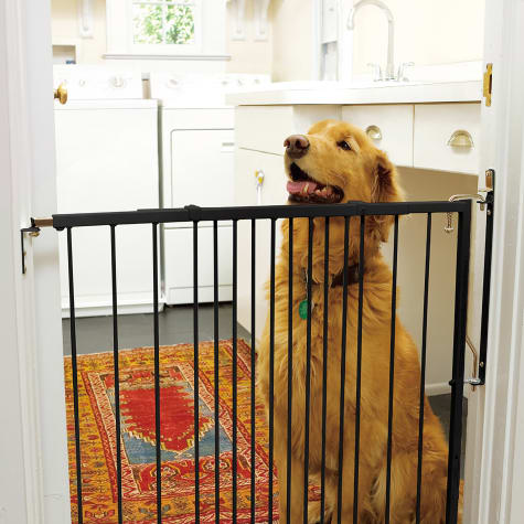 Cardinal Gates Any Angle Duragate Black Pet Gate
