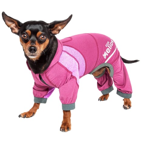 pink dog hoodie