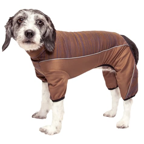 brown dog sweater