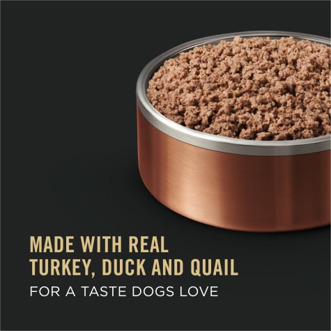 Purina Pro Plan Grain Free High Protein Savor Classic Turkey Duck Quail Entree Wet Dog Food 13 Oz Case Of 12 Petco