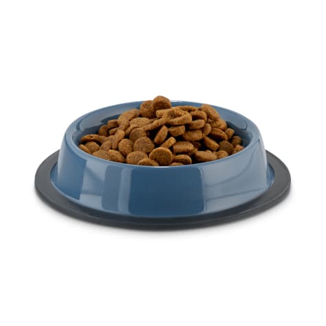 special dog food bowls