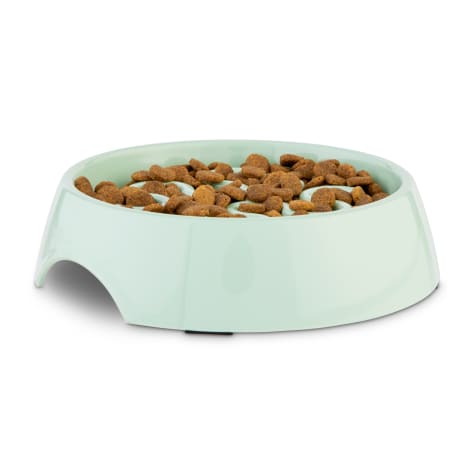 dog bowl food