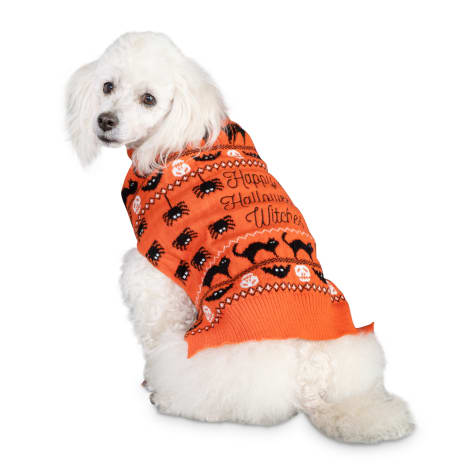 petco sweaters