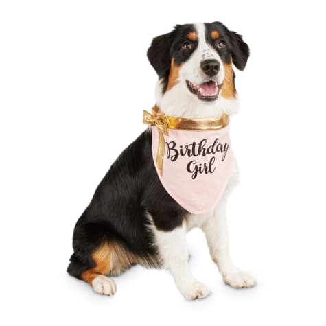 dog first birthday bandana