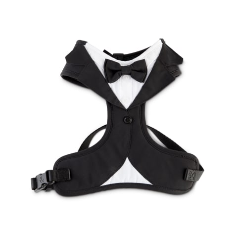 tuxedo cat harness