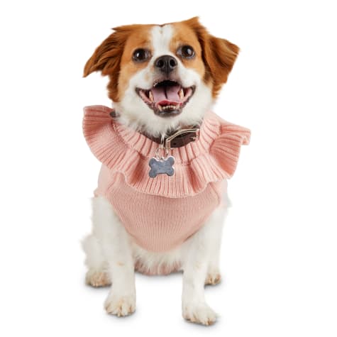 petco dog jacket