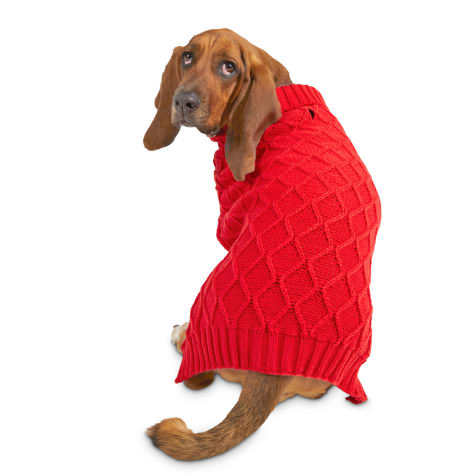 red dog sweater large