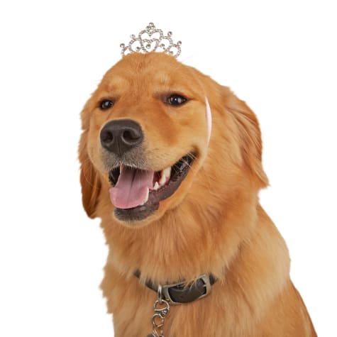 k9 advantix extra large