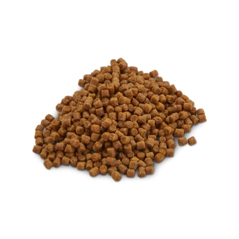 Imagitarium Bottom Feeder Pellets