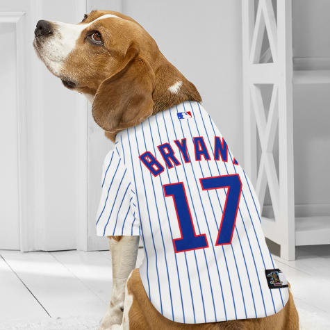 dog cubs jersey