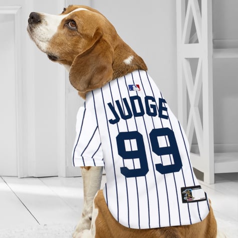 New York Yankees Aaron Judge Dog Jersey 