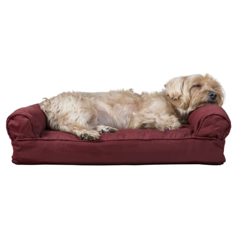 red dog bed