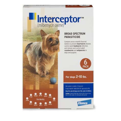 Interceptor Plus Chewable Tablets For Dogs 50 1 100 Lbs 6 Treatments Blue Box Chewy Com