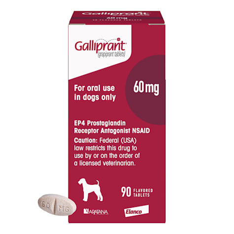 Galliprant 60 Mg Flavored Tablets For Dogs 1 Count Petco
