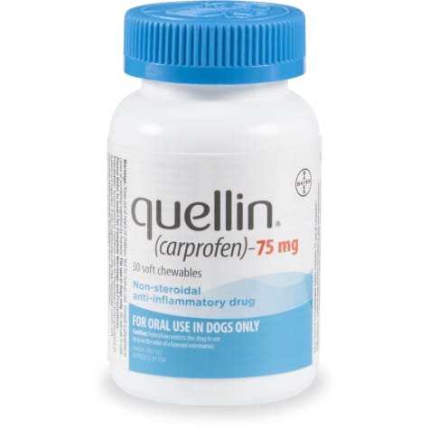 quellin (Carprofen) Soft Chewable Tablets 75 mg