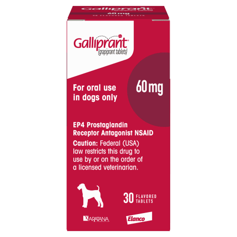 Galliprant 60 mg for Dogs