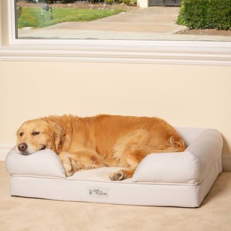 petfusion large dog bed