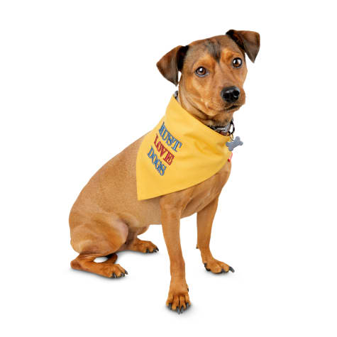 petco dog bandana