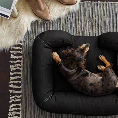 large black dog bed
