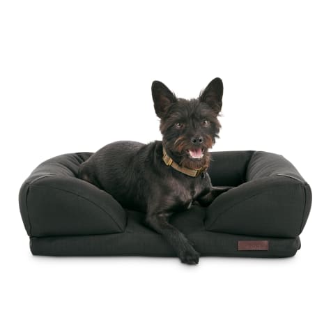 large black dog bed