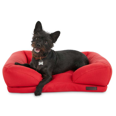 large red dog bed