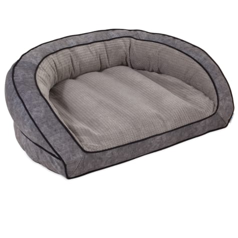 boy dog beds