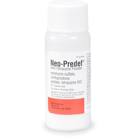Neo-Predef with Tetracaine Topical Powder