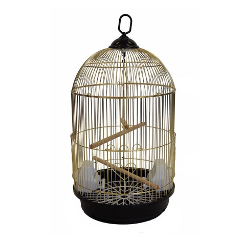 round bird cage for sale