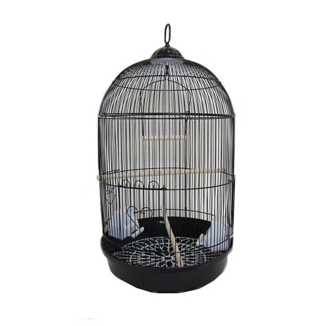 large round bird cage for sale