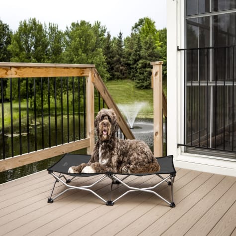 Carlson Pet Products Tan Portable Pup Pet Bed