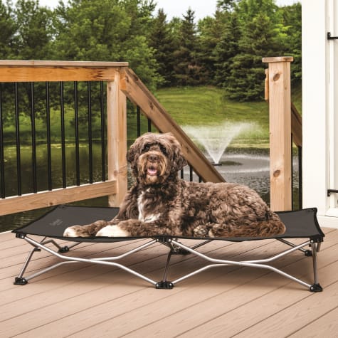 Carlson Pet Products Gray Portable Pup Pet Bed