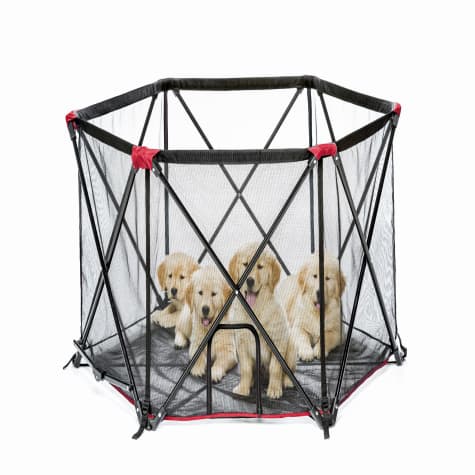 Carlson Pet Products Red Six Panel Pet Pen