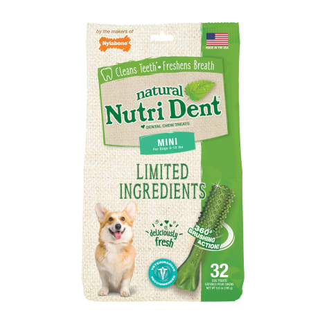 Nylabone Nutri Dent Limited Ingredients Mini Fresh Breath Dental Chews for Dogs