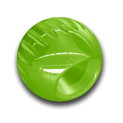 green dog ball