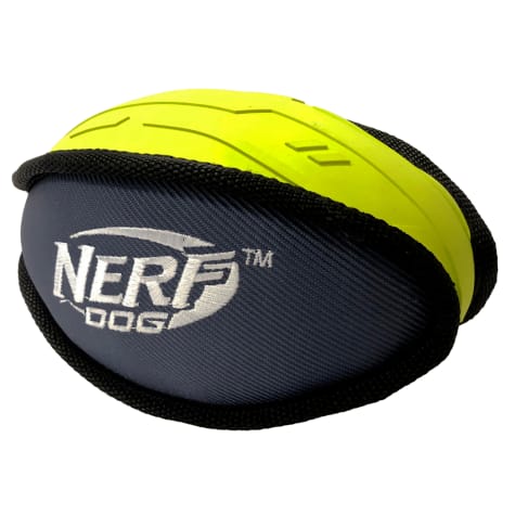 nerf rugby ball dog